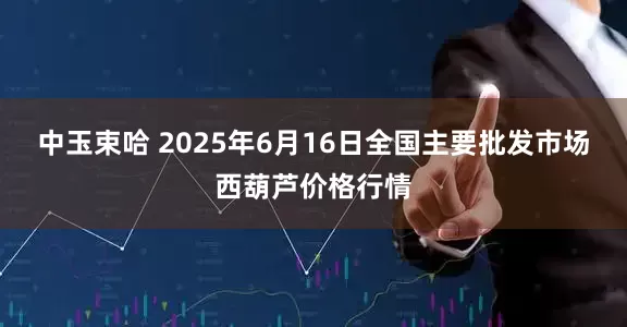 中玉束哈 2025年6月16日全国主要批发市场西葫芦价格行情
